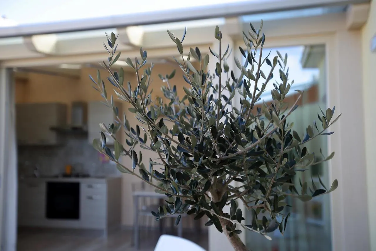 אבולה Re Sole Case Vacanze - Esclusivo Attico M A R T E Con Spaziosissima Terrazza Solarium Attrezzata בית נופש